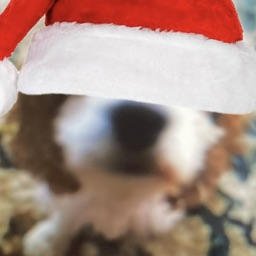 @vubobinali profile picture